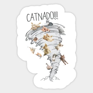 Catnado Sticker